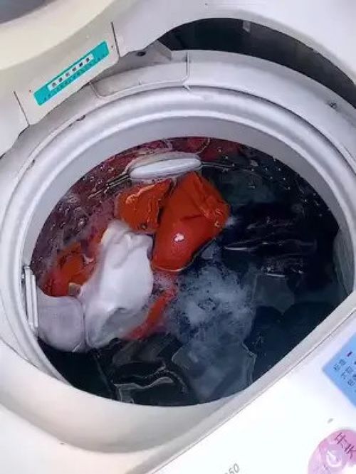 共享洗衣房的救星 一网打尽的毛发过滤神器